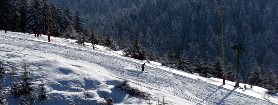 Ski in Bran (Zănoaga)