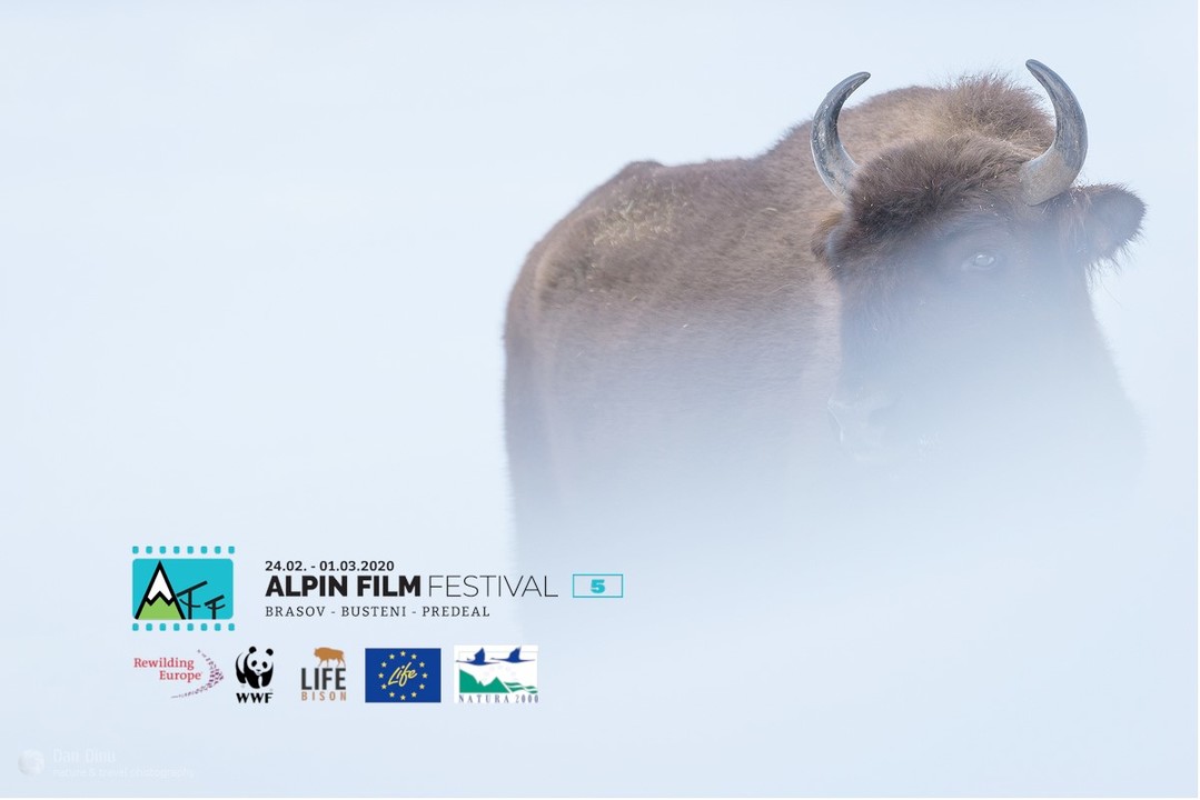 Expoziție WWF-România - Zimbrul revine în Carpații Meridionali