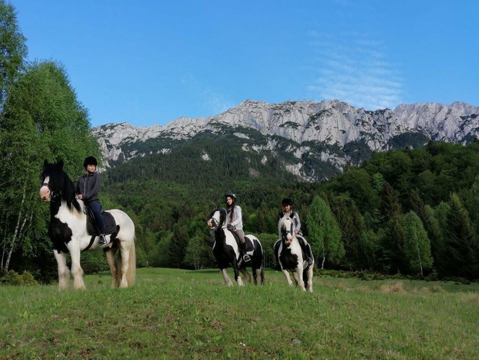Horseback Riding Center - Popasul Craiului